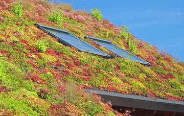Rooksey Green living roof systems